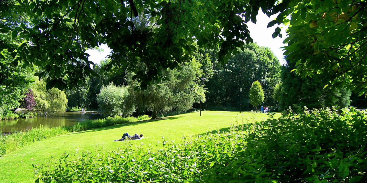 Del Barrio de la Serna a Le Parc de la Serna