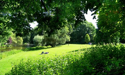 Del Barrio de la Serna a Le Parc de la Serna