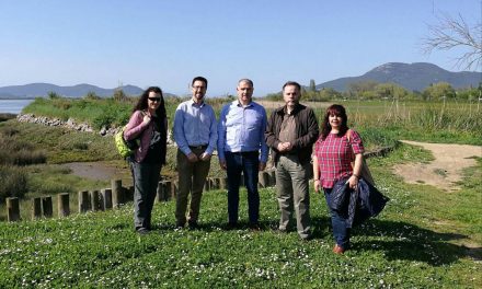 En estudio las propuestas para prolongar la pasarela de la marisma sur y acondicionar el sendero en la marisma norte, solicitadas al consejero Jesús Oria