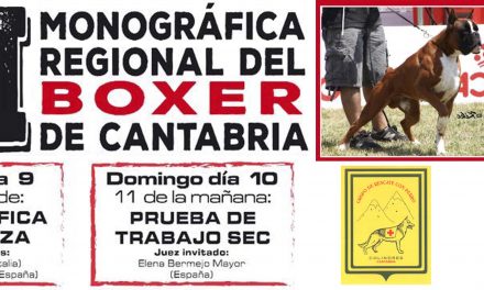 XII MONOGRÁFICA REGIONAL DEL BOXER DE CANTABRIA