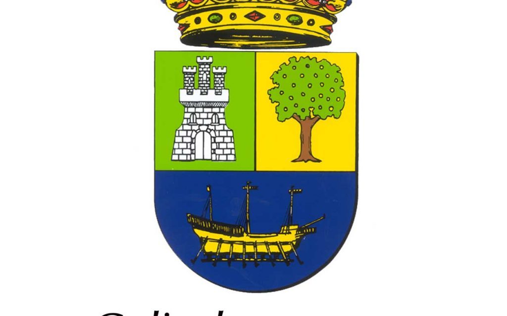 CONVOCATORIA DE PLENO – a las CATORCE HORAS del 06 de junio de 2019